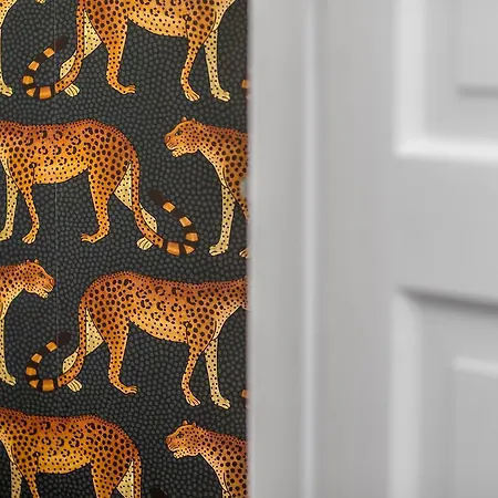 Reale Appartement Bordeaux